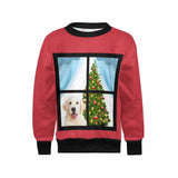 Custom Face Sweater Personalized Pet's Photo Christmas Window Girl's All Over Print Crew Neck Sweater Christmas Ugly Sweater With Face