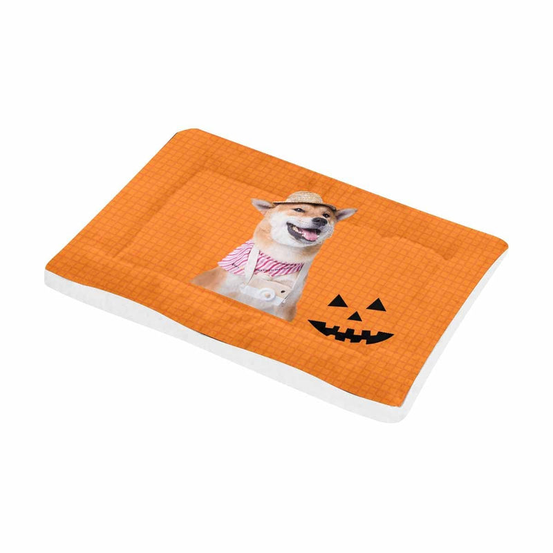 Custom Photo Pumpkin Grid Pet Pad